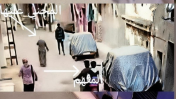 اعتداء بساطور على سيدة أمام منزلها في الغربية| وشاهد عيان: الضحية مازالت في حالة حرجة