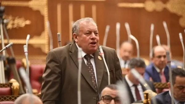 النائب محمد الأجرود، أمين سر لجنة الشئون الدستورية والتشريعية بمجلس الشيوخ