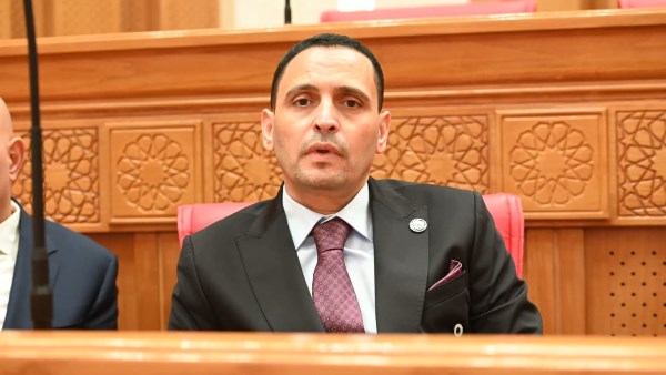 النائب إسلام التلواني، عضو لجنة العلاقات الخارجية بمجلس النواب