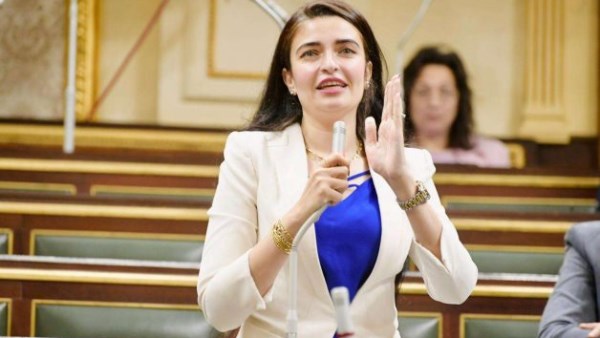 النائبة إيرين سعيد، رئيس الهيئة البرلمانية لحزب الإصلاح والتنمية