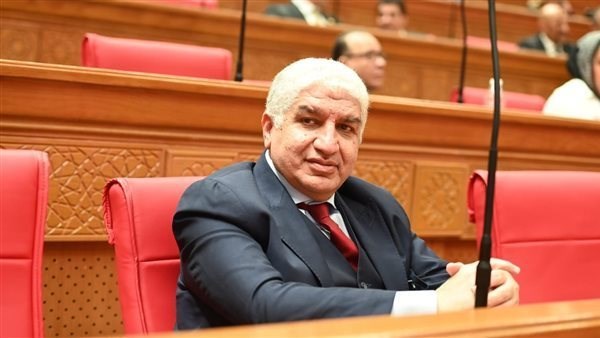 النائب الدكتور أشرف سعد سليمان، وكيل لجنة الشئون الأفريقية بمجلس النواب