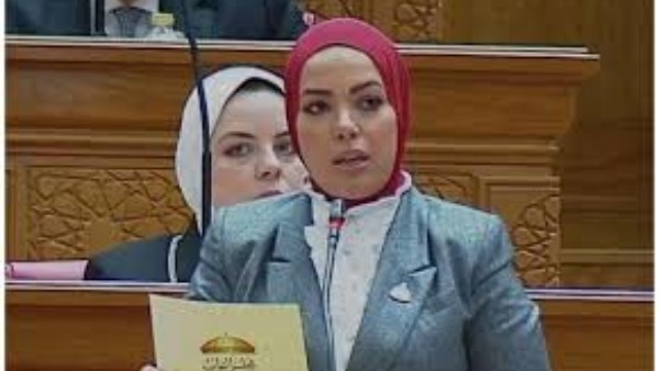  النائبة ايه عبد الرحمن 