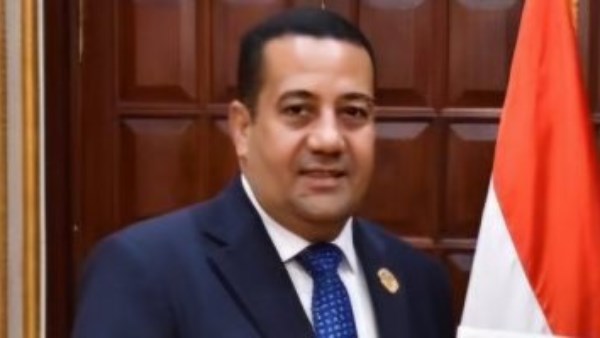 ناصر الضوي ، عضو مجلس الشيوخ 