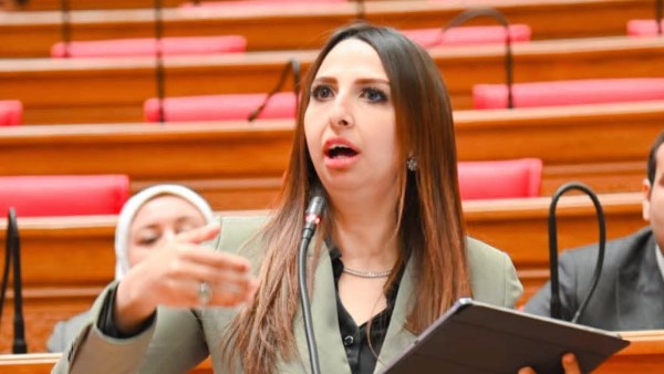 نشوى الشريف، وكيل لجنة القوى العاملة بمجلس النواب 