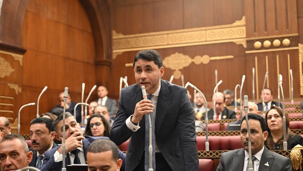 محمد مظلوم، عضو مجلس الشيوخ 