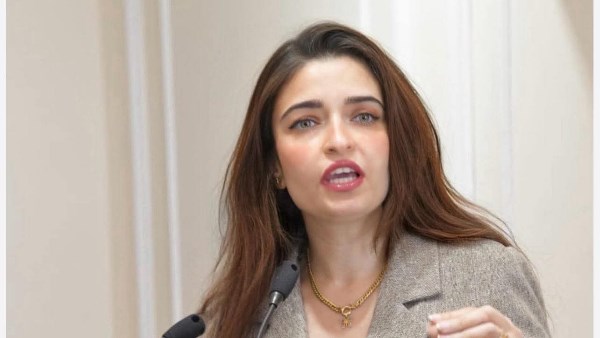 إيرين سعيد، عضو لجنة الصحة بمجلس النواب 