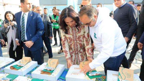 التضامن الاجتماعي