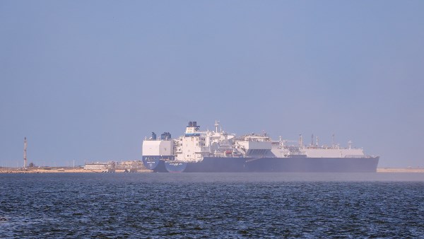  سفينة للحاويات والبضائع بميناء دمياط