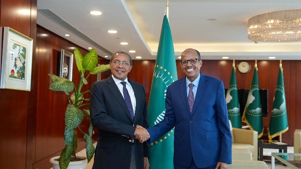 رئيس مفوضية