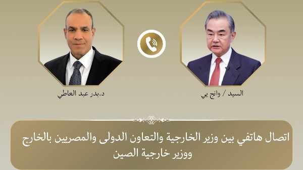 وزيرا خارجية مصر والصين