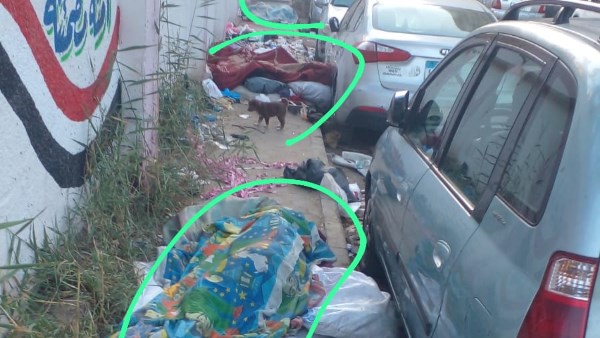 نباشو القمامة 