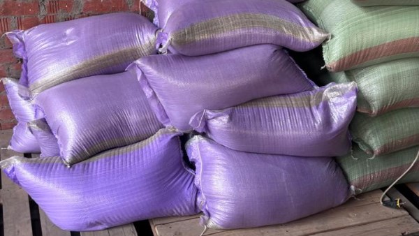 حملات مكثفة في المنوفية 