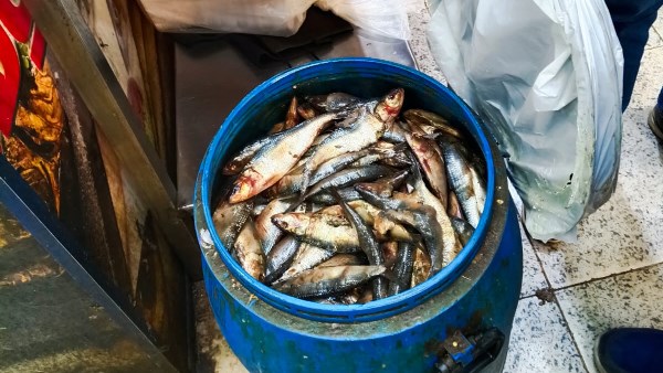 حملات تموينية 