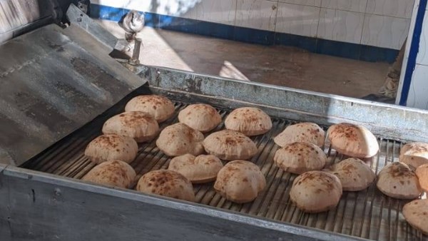 مصرع شخص خلال نقل عزال عروس في المنوفية ونشوب مشاجرة وضبط أطرافها