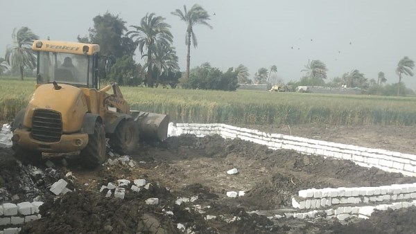 التعديات ببني سويف