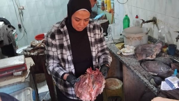 حملات بيطرية مكثفة 