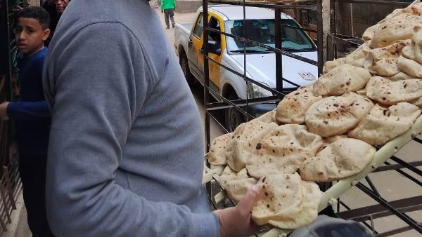 حملات تموينية متنوعة 