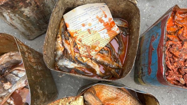 ضبط 250 كجم أسماك فاسدة في حملة رقابية مكبرة بالأسواق خلال إجازة عيد الفطر