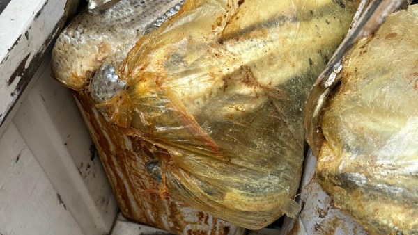 حملات تموينية بأسيوط 