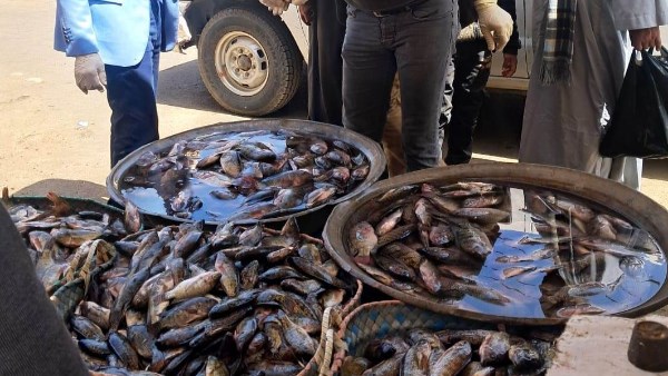 جانب من الحملة بسوهاج