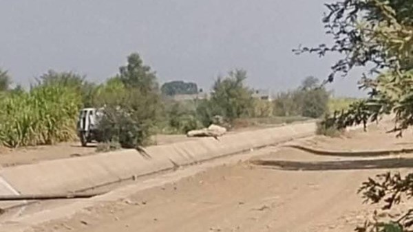 مخلفات صرف صحى