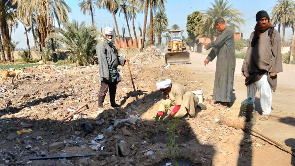 تشجير مواقع القمامة بقنا