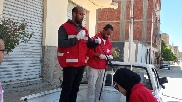 حملات الكلاب الضالة بقنا