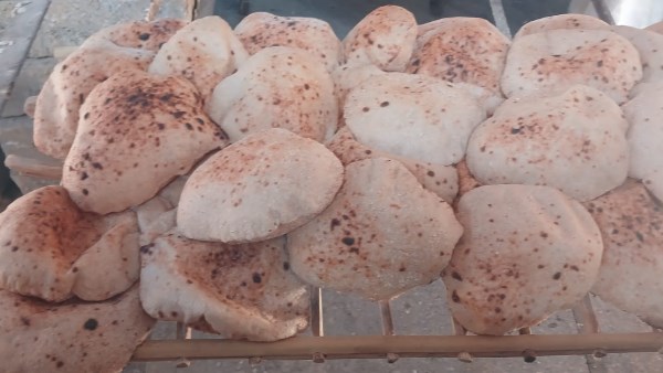 تحرير 17 مخالفة خلال حملة تموينية في إسنا بالأقصر تحرير 17 مخالفة خلال حملة تموينية في إسنا بالأقصر