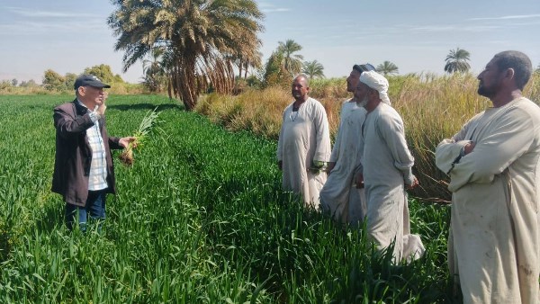 زراعة الأقصر" تعلن حصاد شهر فبراير