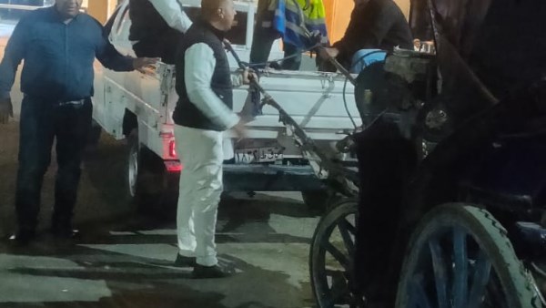 التفتيش على مخالفات عربات الحنطور بالاقصر 