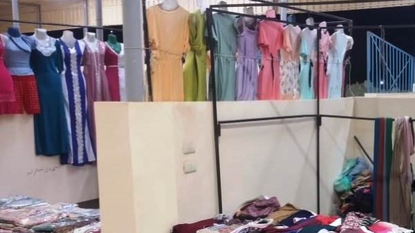 جهود محافظة أسوان