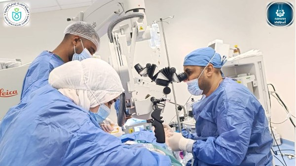 جهود محافظة أسوان