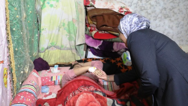 جهود محافظة أسوان