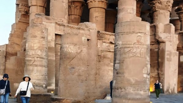 جهود محافظة أسوان