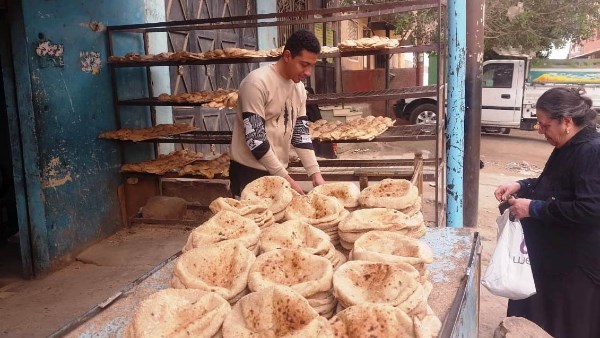 جهود محافظة أسوان