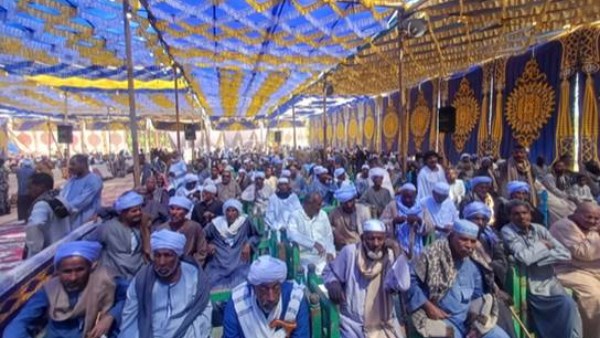 جهود محافظة أسوان