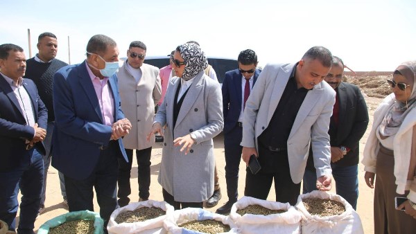 جانب من الحدث