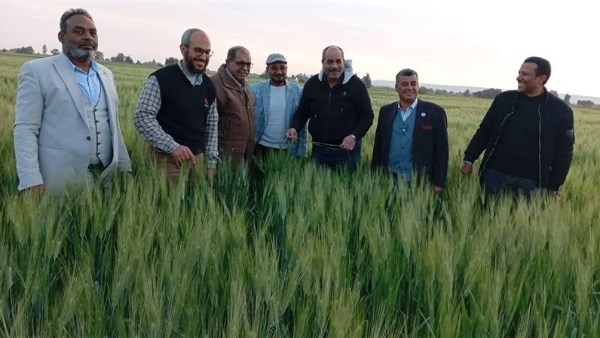 جانب من الحدث