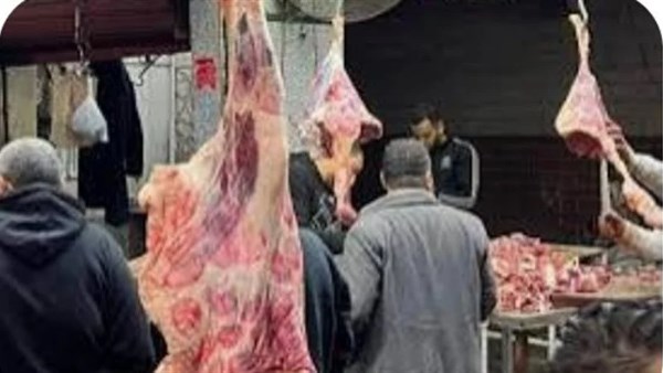 لحوم  ارشيفيه 