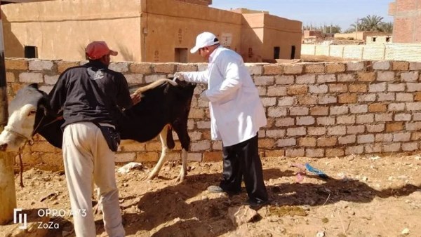 جانب من الحدث