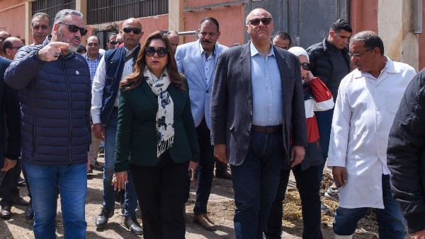 مجزر آلى بالعامرية