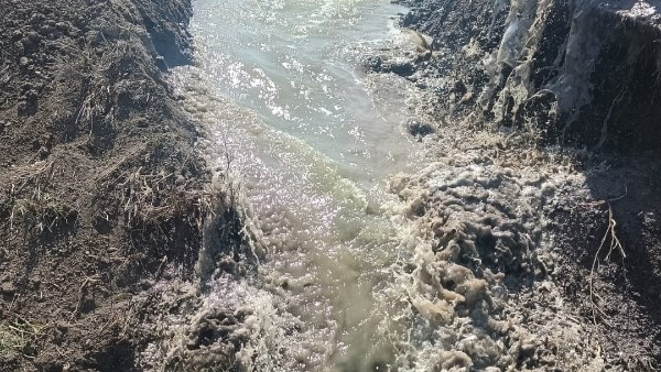 محافظ بورسعيد: انطلاق المرحلة الثالثة من الموجة ٢٨ لإزالة التعديات على أراضي وأملاك الدولة