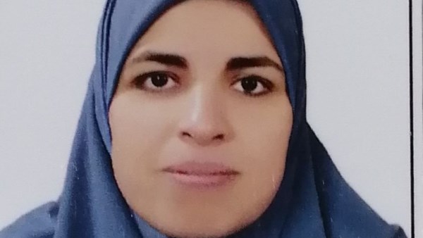 الام المثاليه 