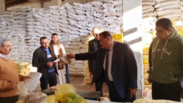 تموين دمياط