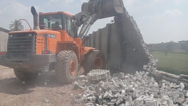 جانب من الحملة 