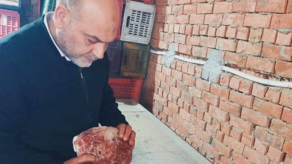 ضبط 6 أطنان لحوم مجهولة المصدر فى حملة بالقليوبية ضبط 6 أطنان لحوم مجهولة المصدر فى حملة بالقليوبية