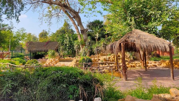 حدائق القناطر الخيرية 