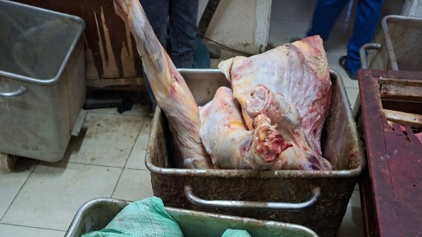 صور الواقعة 