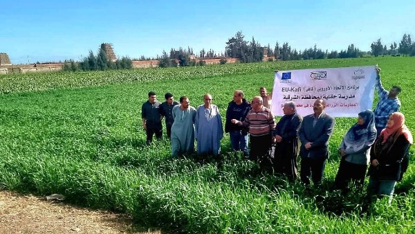 زراعة الشرقية