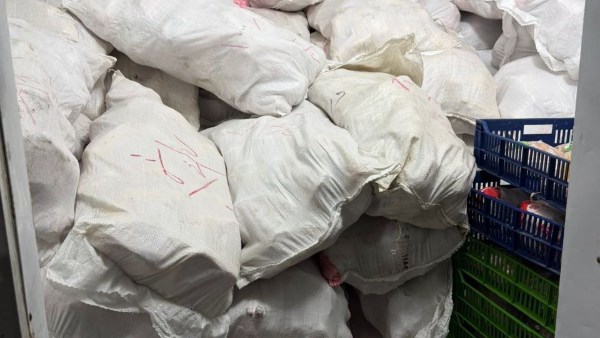 جانب من المضبوطات 